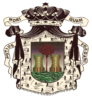 escudo floridablanca